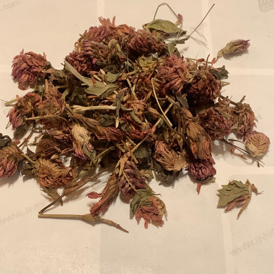 Red Clover Blossoms Tea